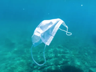 塑料垃圾為什么會(huì)進(jìn)入海洋？